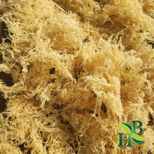이미지를 갤러리 뷰어에 로드 , Herb To Body Gold Irish Sea Moss | Premium Quality St Lucia