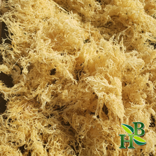 Load image into Gallery viewer, Herb To Body Gold Irish Sea Moss | Premium Quality St Lucia

